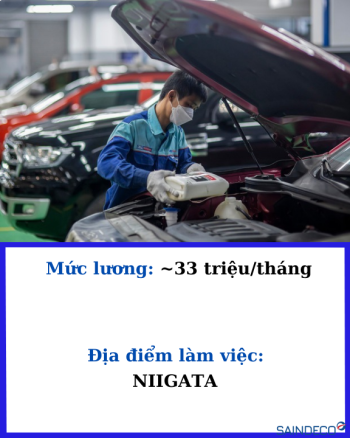 ĐƠN HÀNG BẢO DƯỠNG Ô TÔ