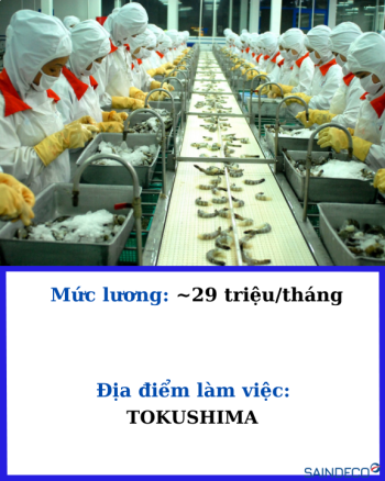 CHẾ BIẾN THỰC PHẨM