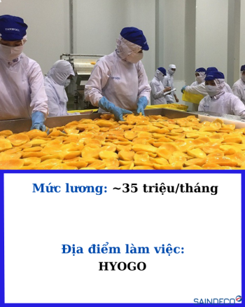 ĐƠN HÀNG CẮT RAU CỦ