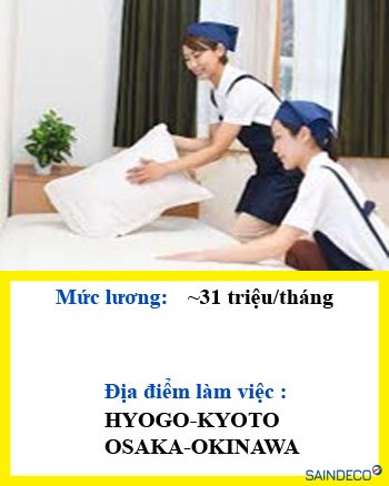 Đơn hàng dọn dẹp phòng khách sạn 2024