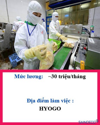cat thai rau cu 2024
