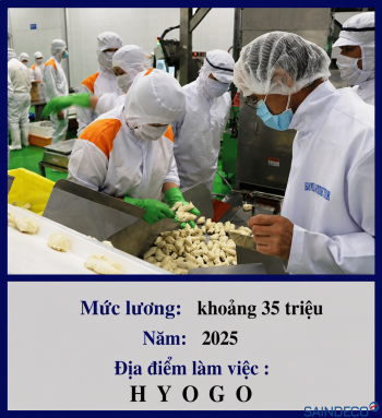Đơn hàng cắt rau củ 04/2025
