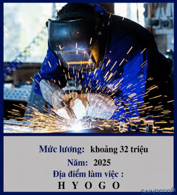 HÀN BÁN TỰ ĐỘNG 05/2025