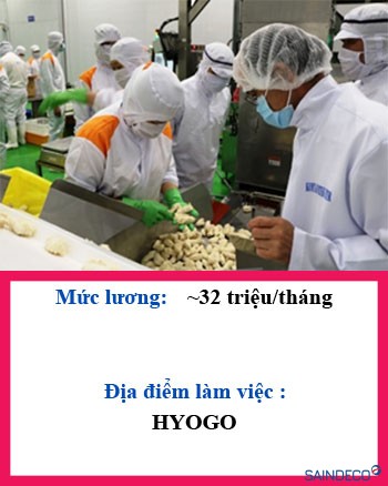 Đơn hàng cắt rau củ