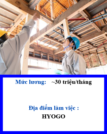 ĐƠN HÀNG THỢ MỘC
