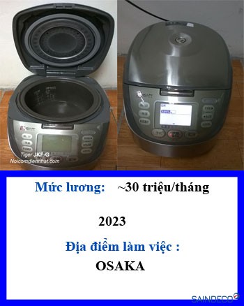 Đúc nhựa và lắp ráp ( nồi cơm điện, phụ kiện tủ lạnh….)