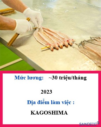 Chế biến thuỷ sản 126 2023