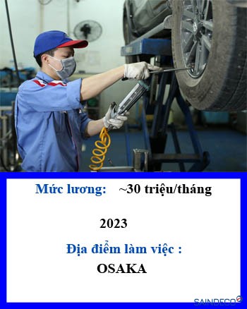 Bảo trì xe công ty 139 2023