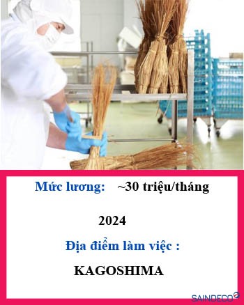 SẢN XUẤT ĐẬU TƯƠNG 144