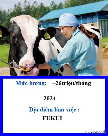 CHĂN NUÔI BÒ 151