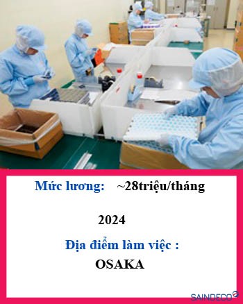 Đóng gói sản phẩm nhựa 168