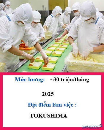Chế biến đồ ăn sẵn 204