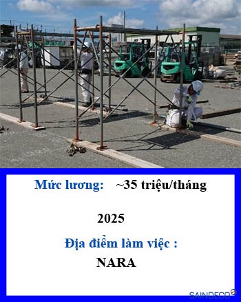 Xây dựng tổng hợp 205 2025