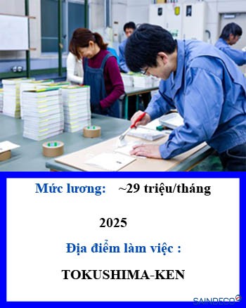 Đóng sách in ấn 211-2025