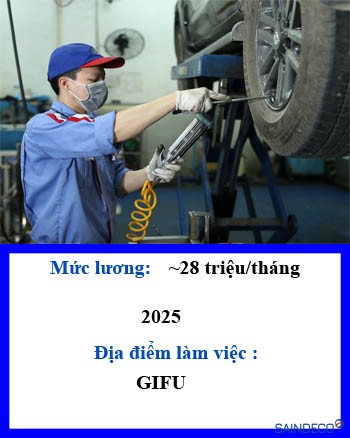 Bảo trì xe công ty 218