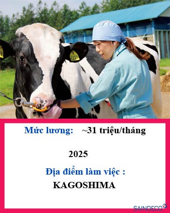 Đơn hàng Chăn nuôi bò 221