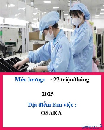 Đóng gói sản phẩm nhựa 222-2025