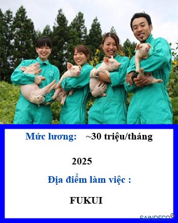 Đơn hàng chăn nuôi heo 226
