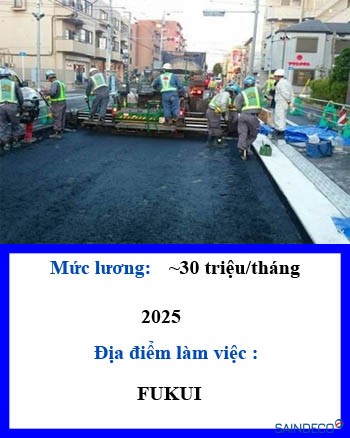 XÂY DỰNG CẦU ĐƯỜNG 228