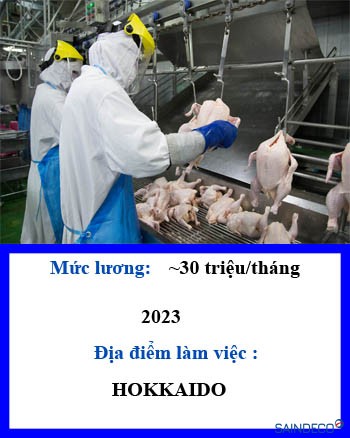 Chế biến thịt gà 113