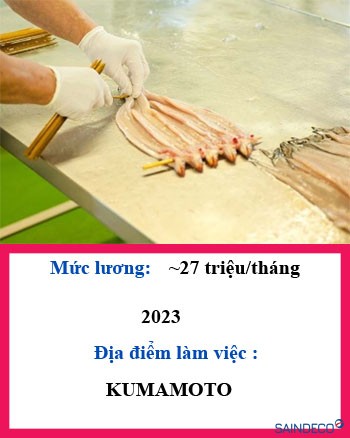 Chế biến thuỷ sản 2023