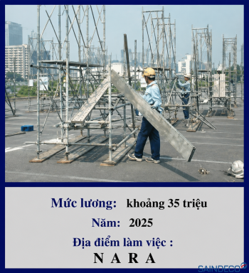 Đơn hàng giàn giáo 02/2025