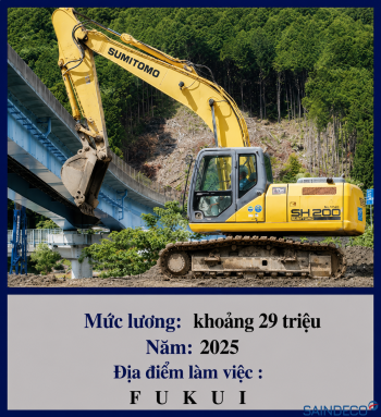 Lắp cốp pha panen 05/2025