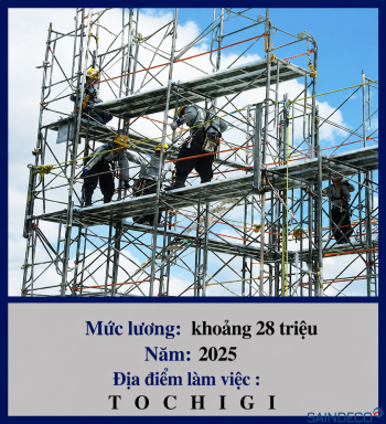 Dựng Giàn giáo 05/2025