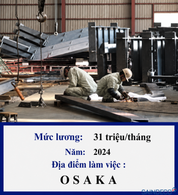 Chế Tạo Vật Liệu Sắt - 11/2024