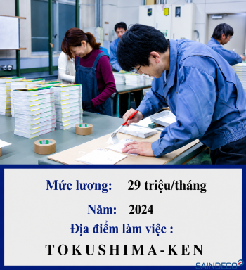 Đóng sách in ấn 10/2024