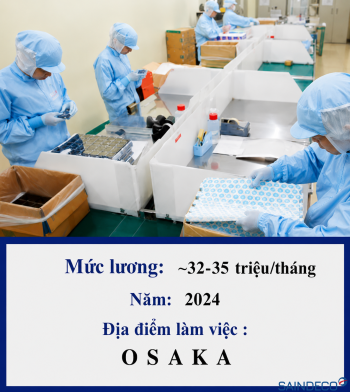 Đóng gói sản phẩm nhựa 08/2024