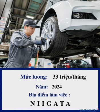 Bảo dưỡng ôtô 11/2024