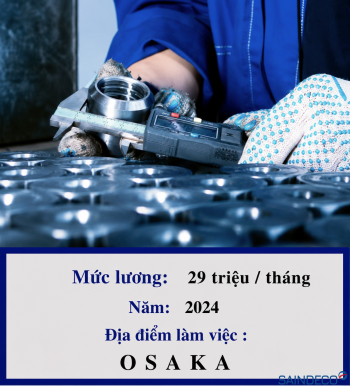 KIỂM TRA CƠ KHÍ 12/2024