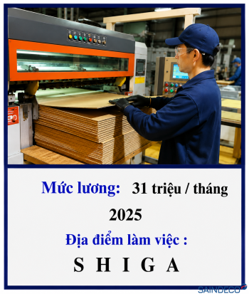 Sản xuất hộp carton 06/2025