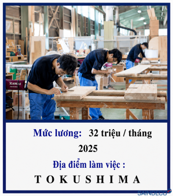 Gia công gỗ 06/2025
