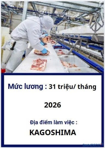 CHẾ BIẾN THỊT LỢN 03/2026