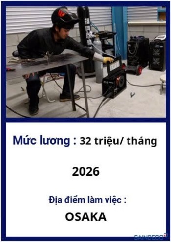 HÀN BÁN TỰ ĐỘNG 03/2026