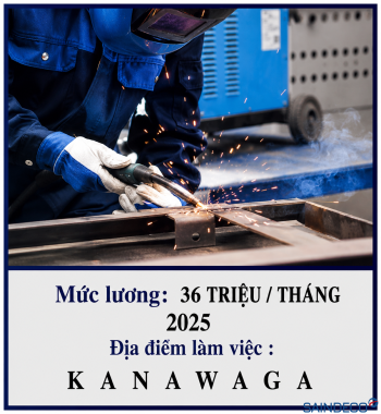 HÀN BÁN TỰ ĐỘNG 09/2025