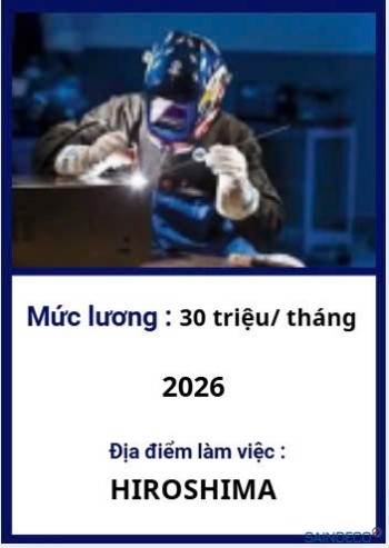 HÀN BÁN TỰ ĐỘNG 06/2026