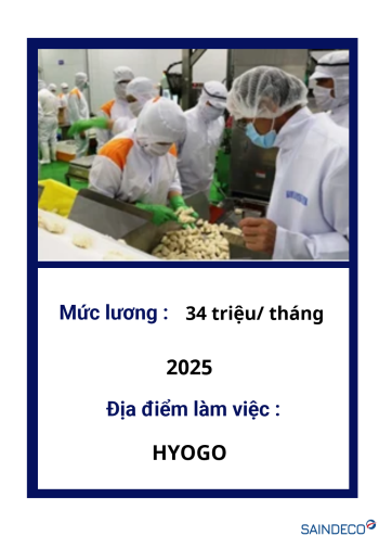 CẮT THÁI RAU CỦ 11/2025