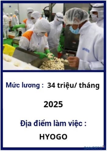 Đơn hàng cắt rau củ 11/2025