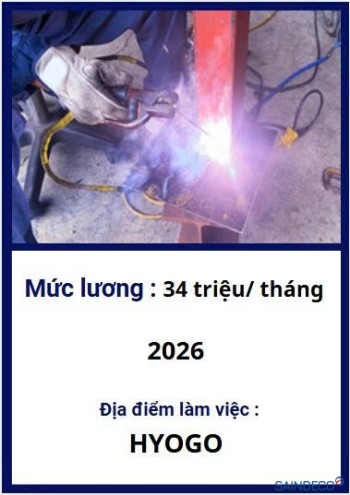 HÀN BÁN TỰ ĐỘNG 07/2026