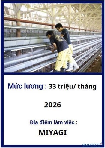 ĐƠN CHĂN NUÔI GÀ 08/2026