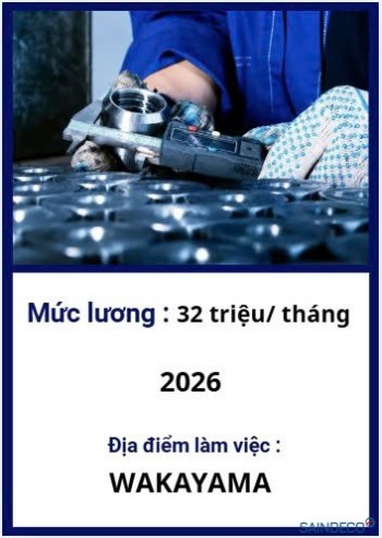 SƠN KIM LOẠI 01/2026