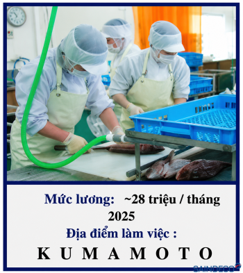 Chế biến thực phẩm 06/2025