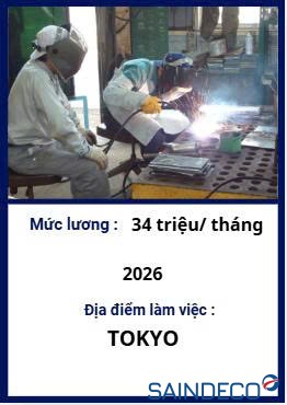 Hàn Bán Tự Động - 11/2026