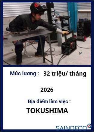 Hàn Bán Tự Động - 11/2026