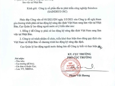 06-SAINDECO-ky-nang-dac-dinh-01.jpg